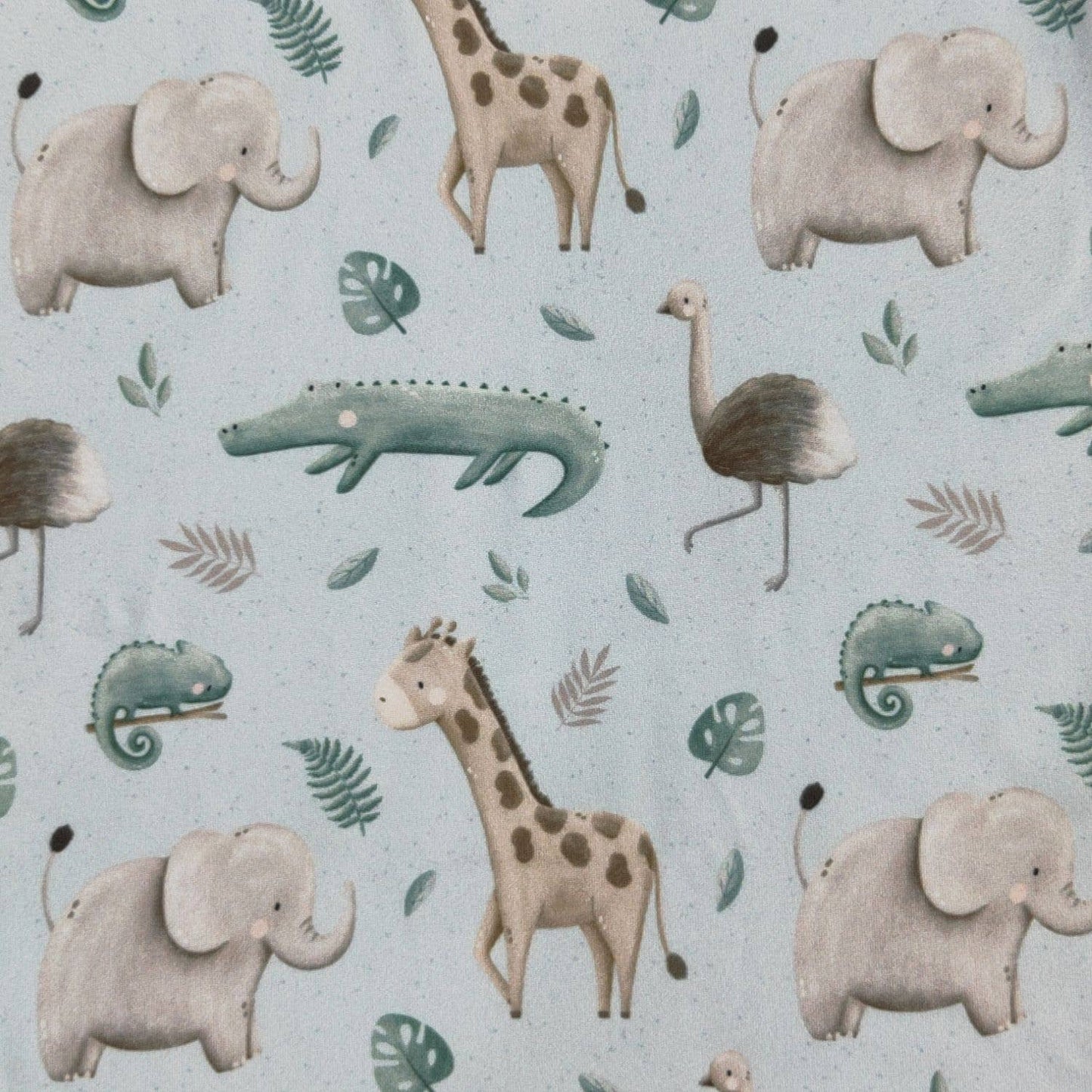 Zoological Blanket
